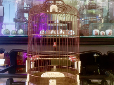 Top 5 lồng chim được ưa chuộng nhất 2025