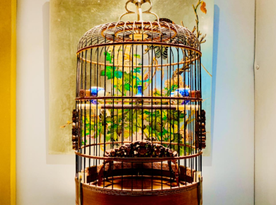 LỒNG CHIM TRANG TRÍ SÂN VƯỜN