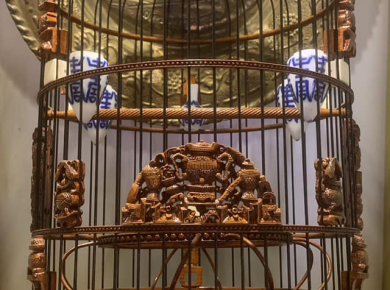 TOP 5 ĐỊA CHỈ MUA LỒNG CHIM UY TÍN TẠI TP.HCM