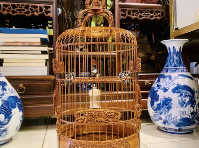 Cửa Hàng Chim Cảnh Uy Tín Tại TPHCM