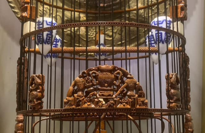 TOP 5 ĐỊA CHỈ MUA LỒNG CHIM UY TÍN TẠI TP.HCM