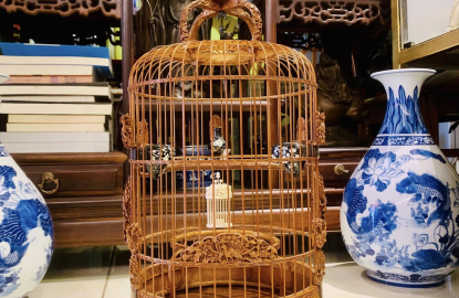 Cửa Hàng Chim Cảnh Uy Tín Tại TPHCM