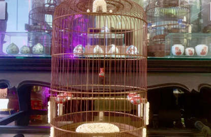 LỒNG CHIM GẦN ĐÂY TẠI TP.HCM