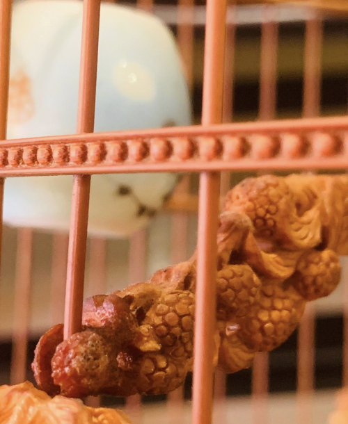 Nữ hoàng Pólũng - Tuyệt tác Côn Trùng 