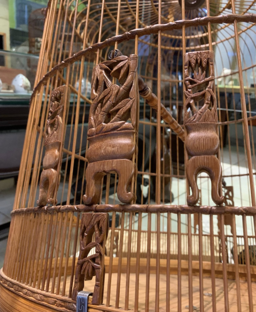 Lồng Chim Chạm Tay - 5