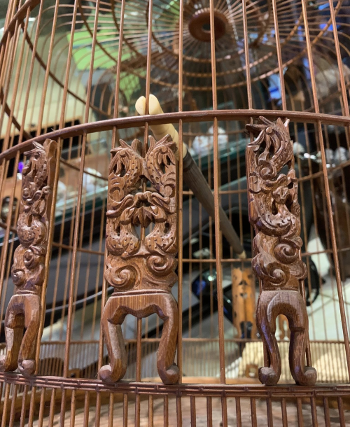 Lồng Chim Chạm Tay - 6