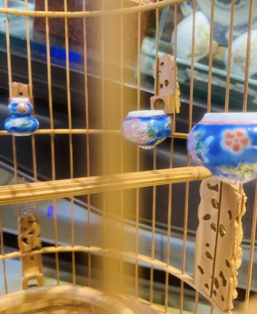 Lồng Khoen Thái Tử - Tích Song Long