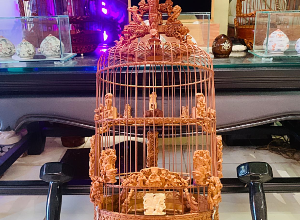 Hoạ Mi Trắng