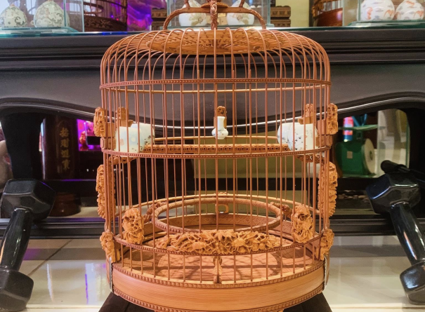 Nữ Hoàng Pó Lũng - Tích Côn Trùng