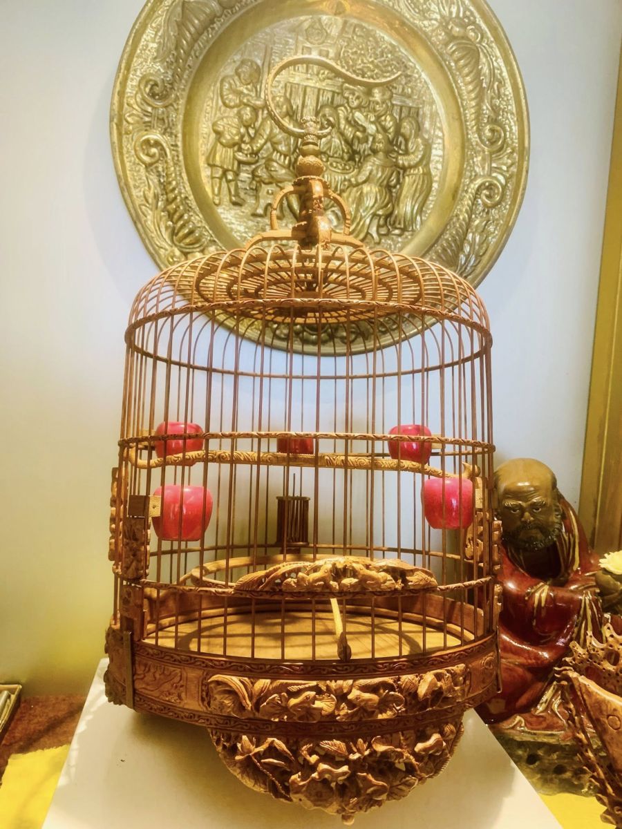 lồng chim phù hợp cho từng loại chim