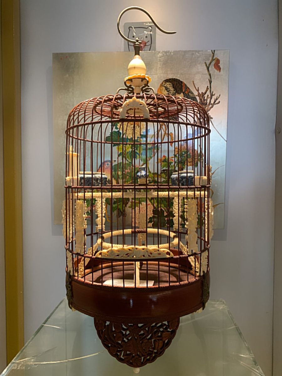 lồng chim gần đây