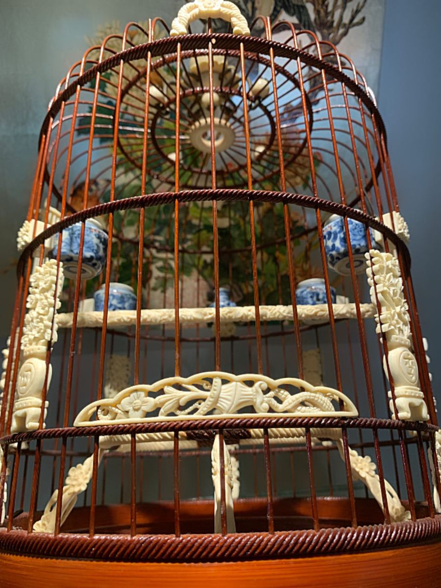 các mẫu lồng chim