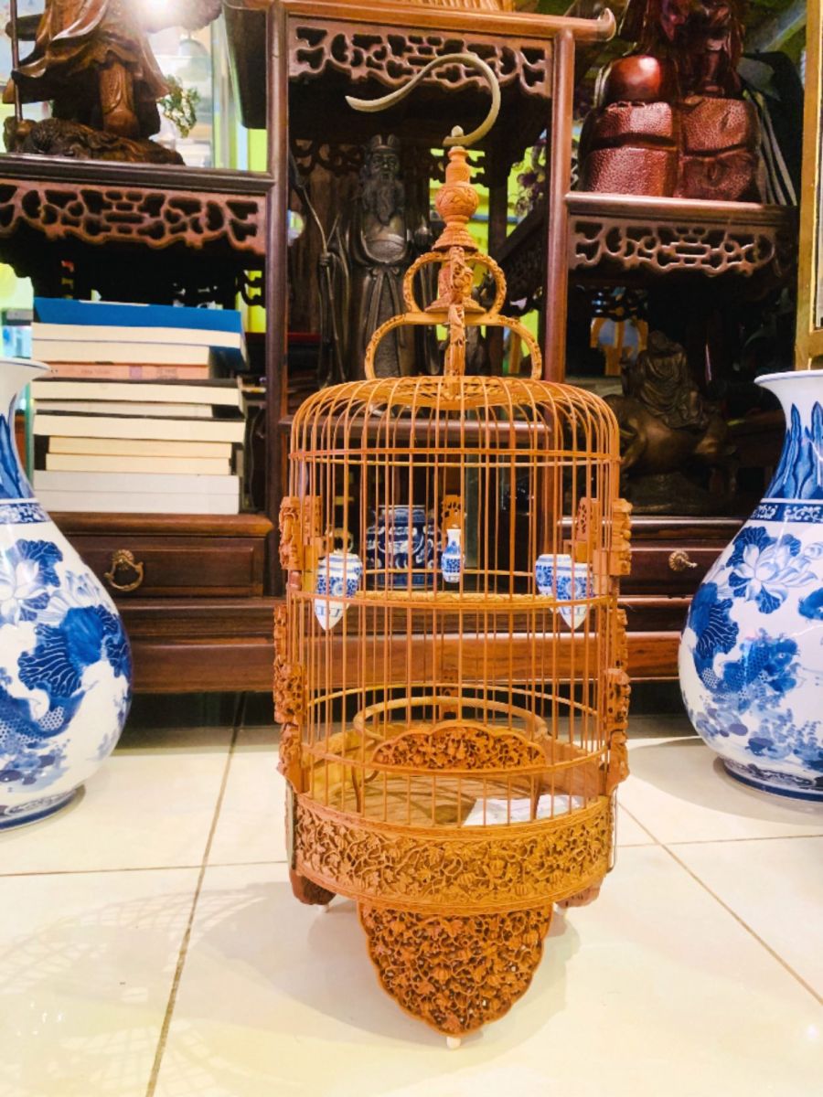 lồng chim gần đây