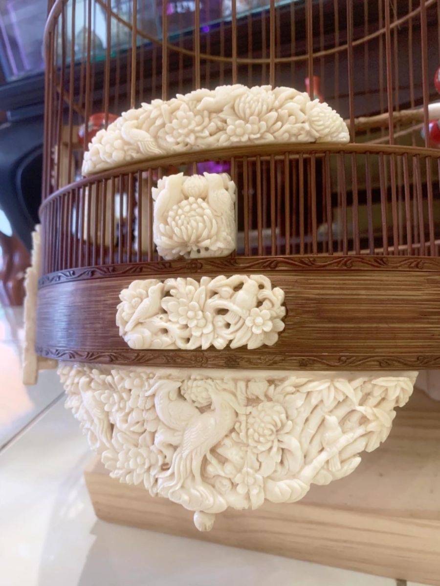 lồng chim gần đây