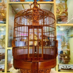 Lồng Chim Hoàng Kim Tích