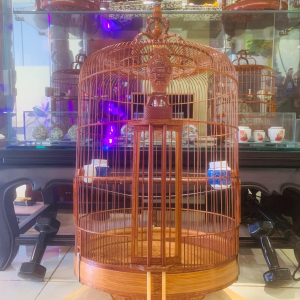 Lồng Kiếm Mạc Chược