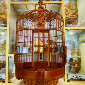 Lồng Kiếm - 1