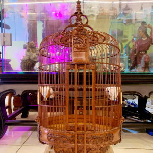 Lồng Kiếm - 3
